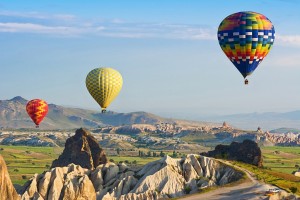 Leadership & Sustainability, Global Sustainability Solutions