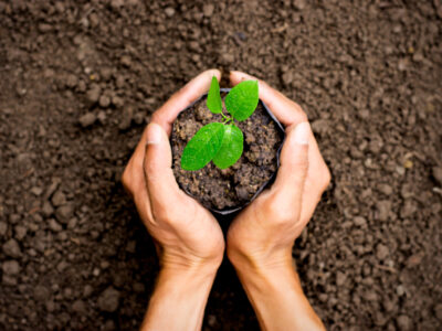 Two,Hands,Of,The,Men,Was,Carrying,A,Bag,Of