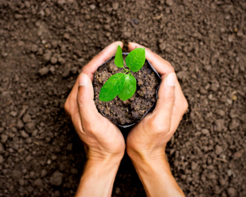 Two,Hands,Of,The,Men,Was,Carrying,A,Bag,Of