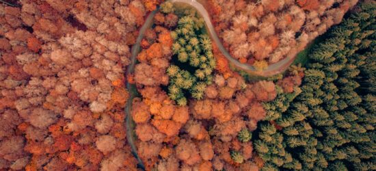 alberto-caliman-vZLPBUPpmOU-unsplash