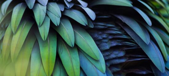 alexander-sinn-fD3sz_wGMPM-unsplash alexander-sinn-fD3sz_wGMPM-unsplash