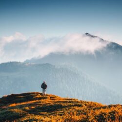 web Unlocking your potential Person viewing hilly landscape with forest