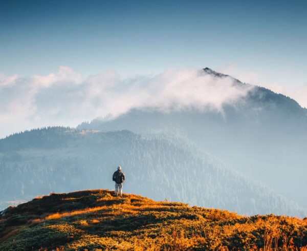Person viewing hilly landscape with forest